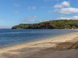 A shoreline in Shelter Island during a bright sunny day.