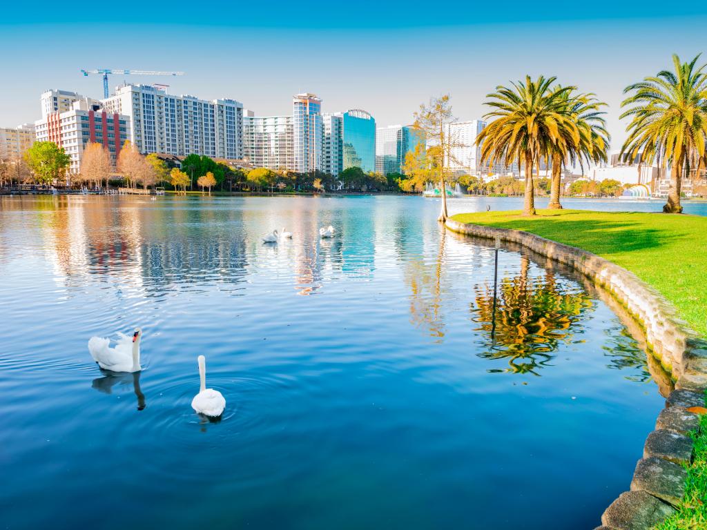 Orlando, Florida, USA taken with Lake Eola Park in the foreground and palm trees, the city skyline in the distance taken on a clear sunny day. 