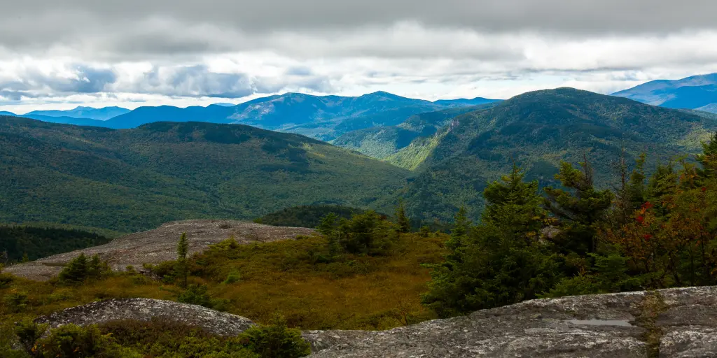 Two Trails to Hastings Road Trip