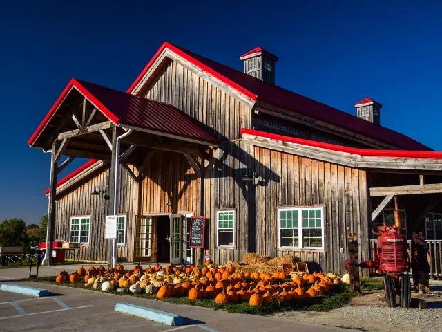 Charming barn at Historic Weston Orchard and Vineyard with pumpkins displayed at its entrance