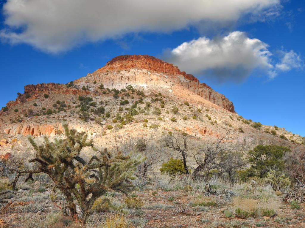 Mojave National Preservation, California, USA with a view of the red rock capped mesa on a sunny but cloudy day.