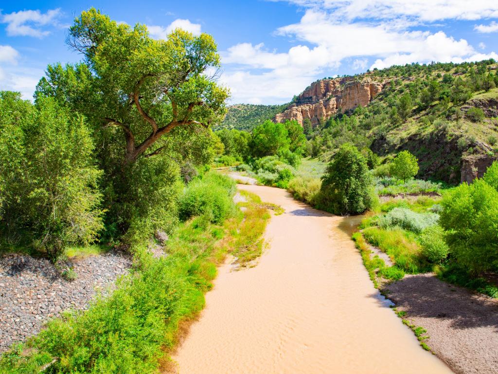 Gila National Forest, New Mexico, USA with the Gila River in t foreground and green trees either side, leading to green-covered rocks in the distance on a sunny day.