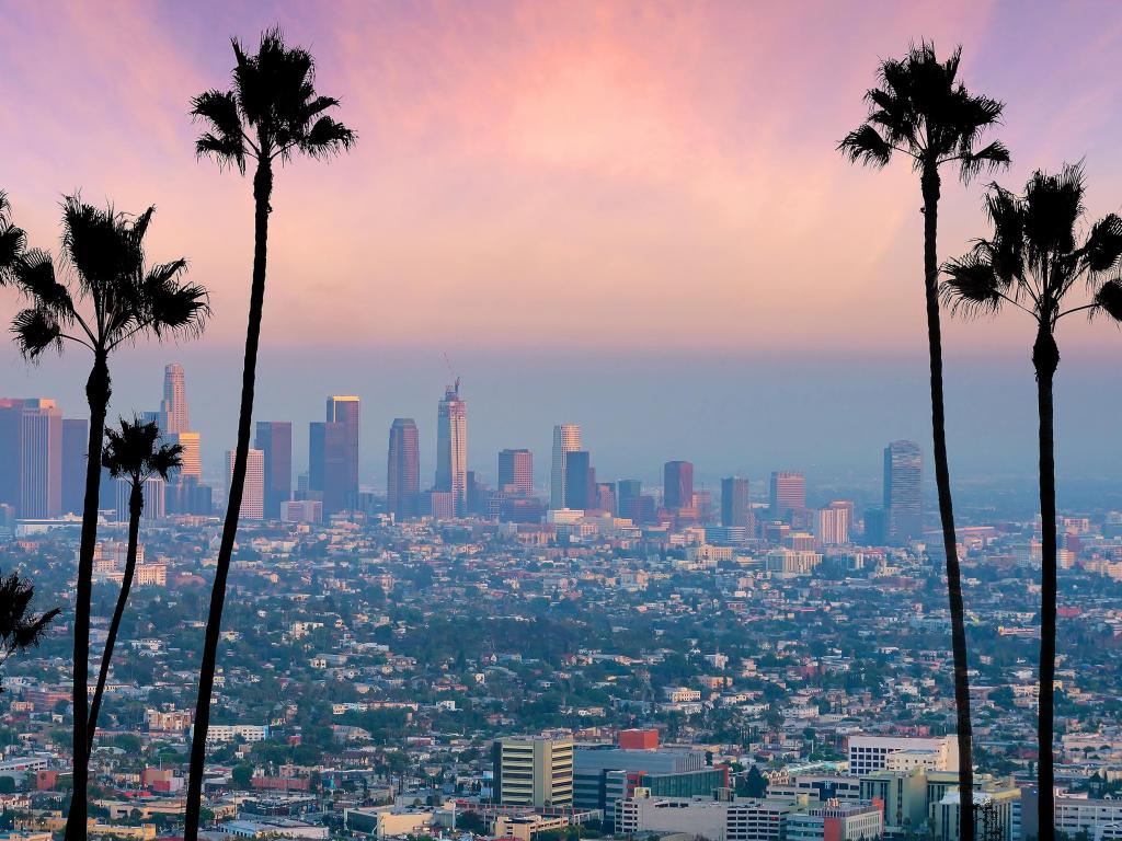 Los Angeles Skyline at sunset with skyscrapers in the distance and palm trees in the foreground