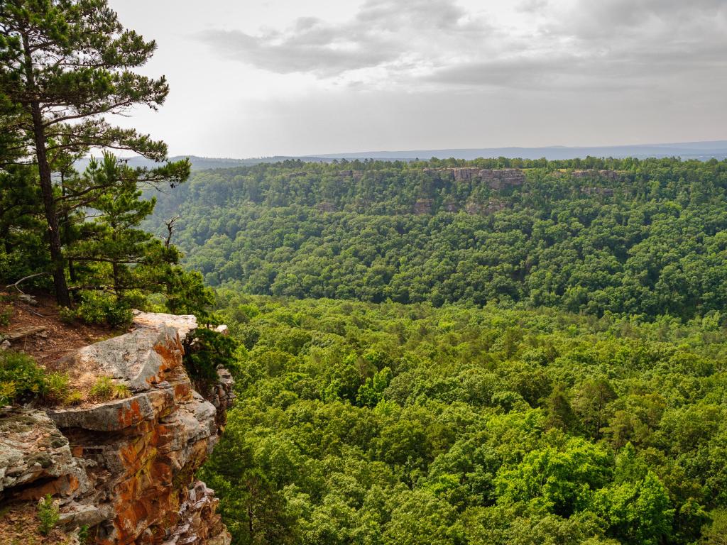 View from the bluff over lush, dense trees in Petit Jean State Park, Mark Twain National Forest, AR