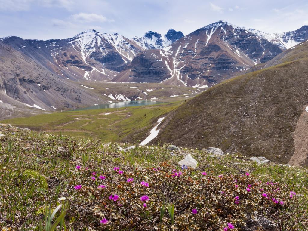 Stone Mountain Provincial Park, British Columbia, Canada with blooming alpine meadow in the foreground and Flower Springs Lake and mountains in the distance. 