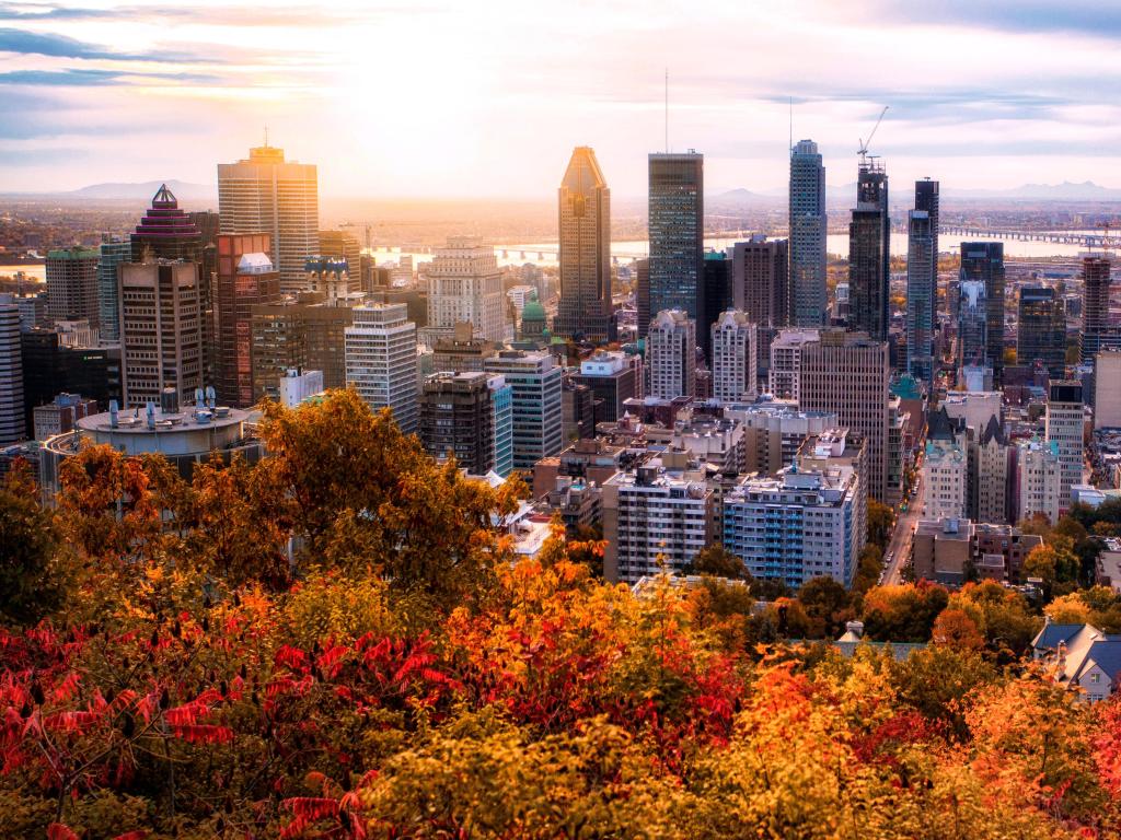 High rise buildings with sunlight hitting at an angle and red and yellow fall colours on the trees in the foreground