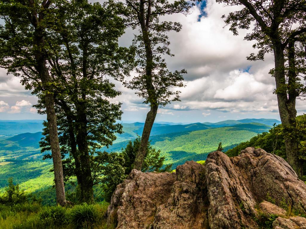 Shenandoah National Park, Virginia, USA with boulders, trees, and view of the Blue Ridge at an overlook on Skyline Drive.