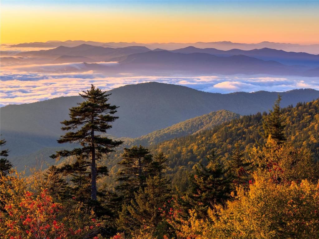Great Smoky Mountains National Park, Tennessee, USA with a view of the sun rising over Clingman's Dome with low cloud in the distance. 