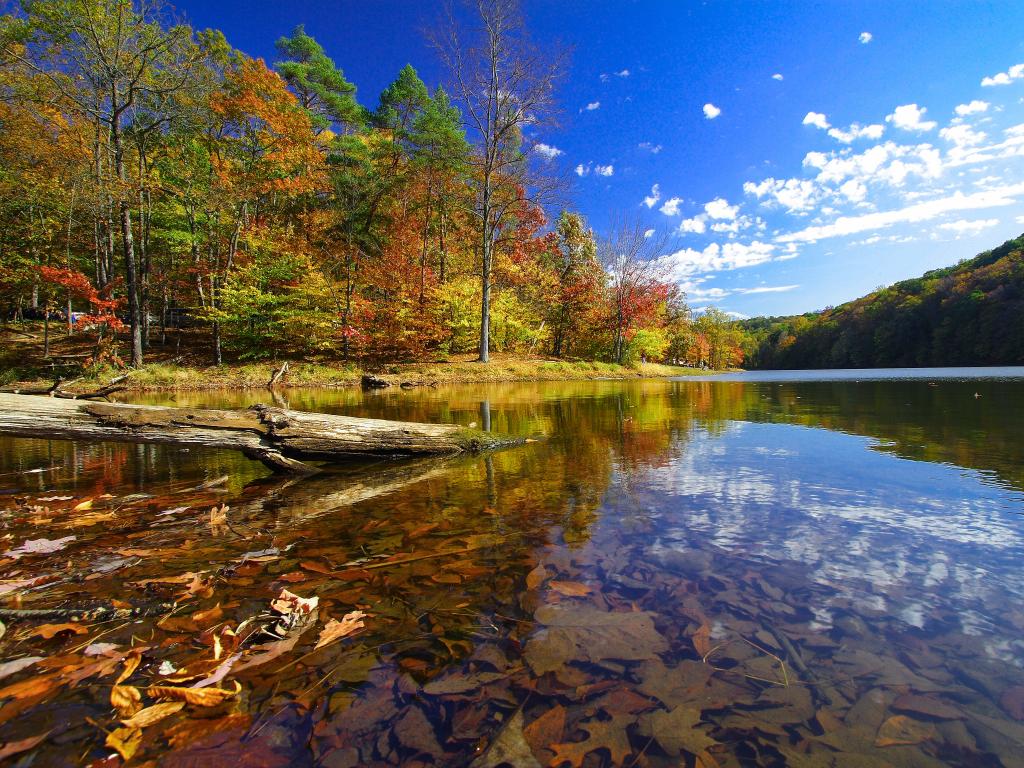 Fall in Brown County State Park, Indiana