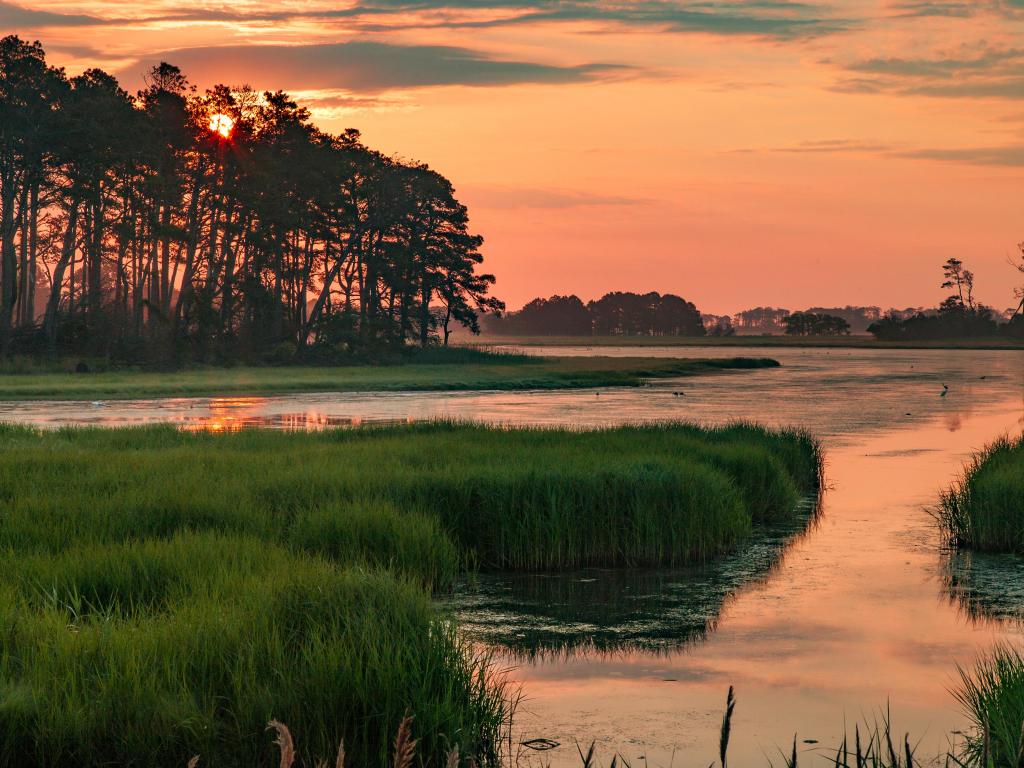 Sunset over the long grasses and marshes at Chincoteague State Wildlife Refuge