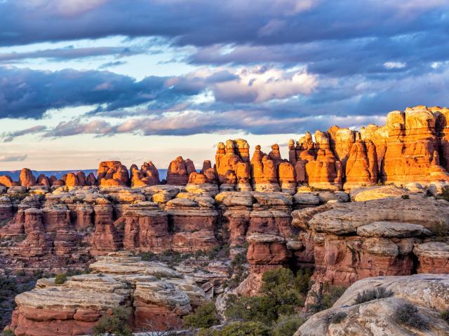 Canyonlands National Park, Utah, USA with moody clouds above colorful golden lit needles in Elephant Canyon in the Needles District. 