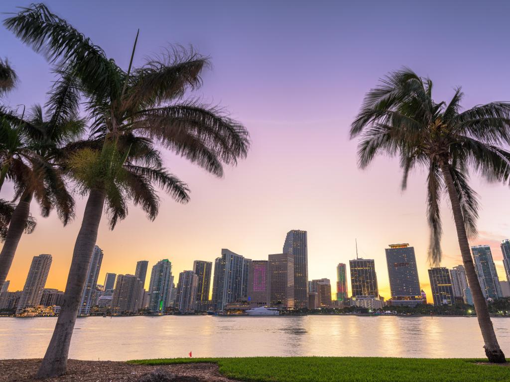 Miami, Florida, USA downtown skyline from across the Biscayne Bay at twilight with palm trees in the foreground.