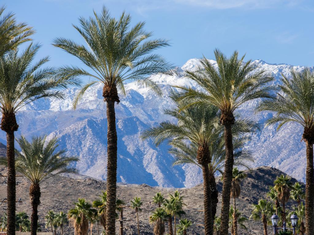 Palm Springs with snow capped mountains in the background with blue skies above and palm trees in front