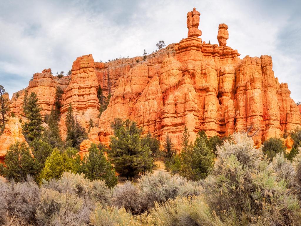 Red Canyon a shallow valley near Bryce Canyon, surrounded by much exposed, orange red limestone and it is also part of Dixie National Forest, Utah, USA.