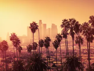 Beautiful sunset of Los Angeles downtown skyline and palm trees in foreground