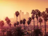 Beautiful sunset of Los Angeles downtown skyline and palm trees in foreground