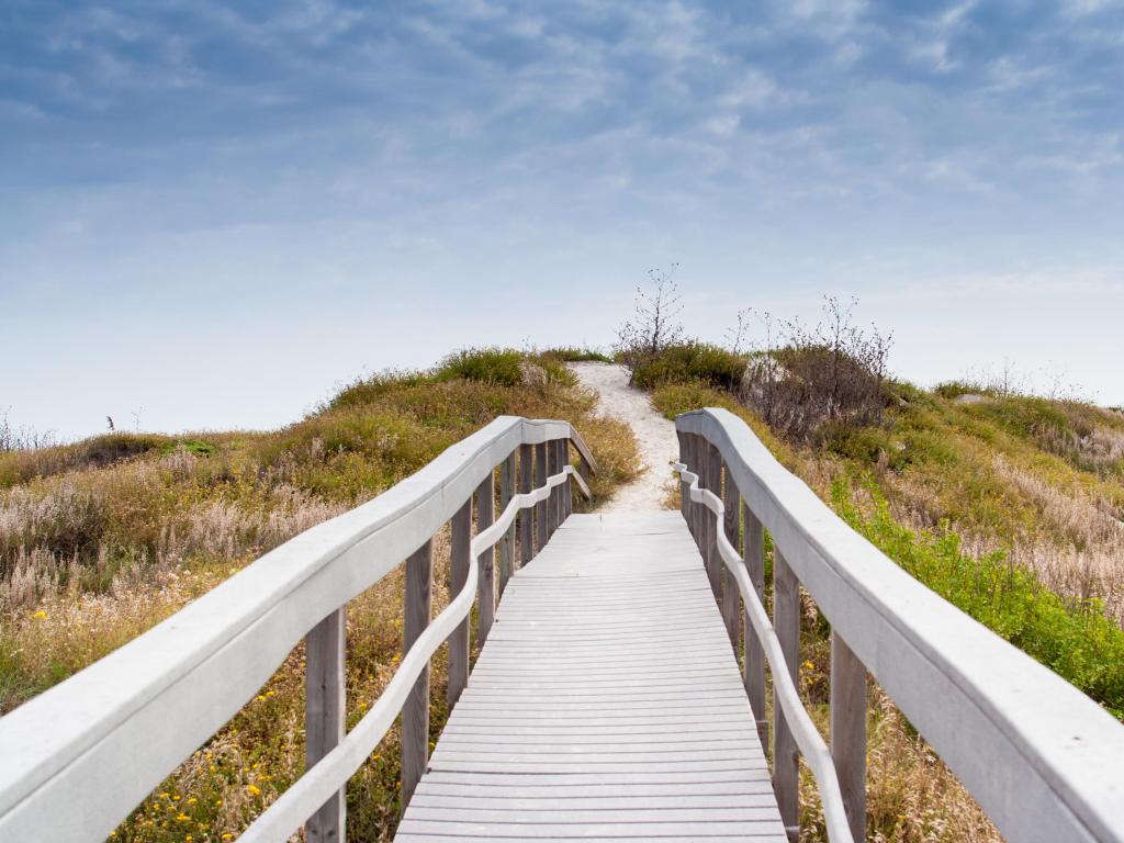 Port Aransas, Texas, USA with a wooden boardwalk over the sand dunes with greenery against a blue sky. 