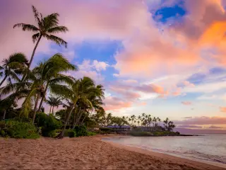 Palms on the beach at sunset at Napili Bay, West Maui, Hawaii