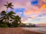 Palms on the beach at sunset at Napili Bay, West Maui, Hawaii