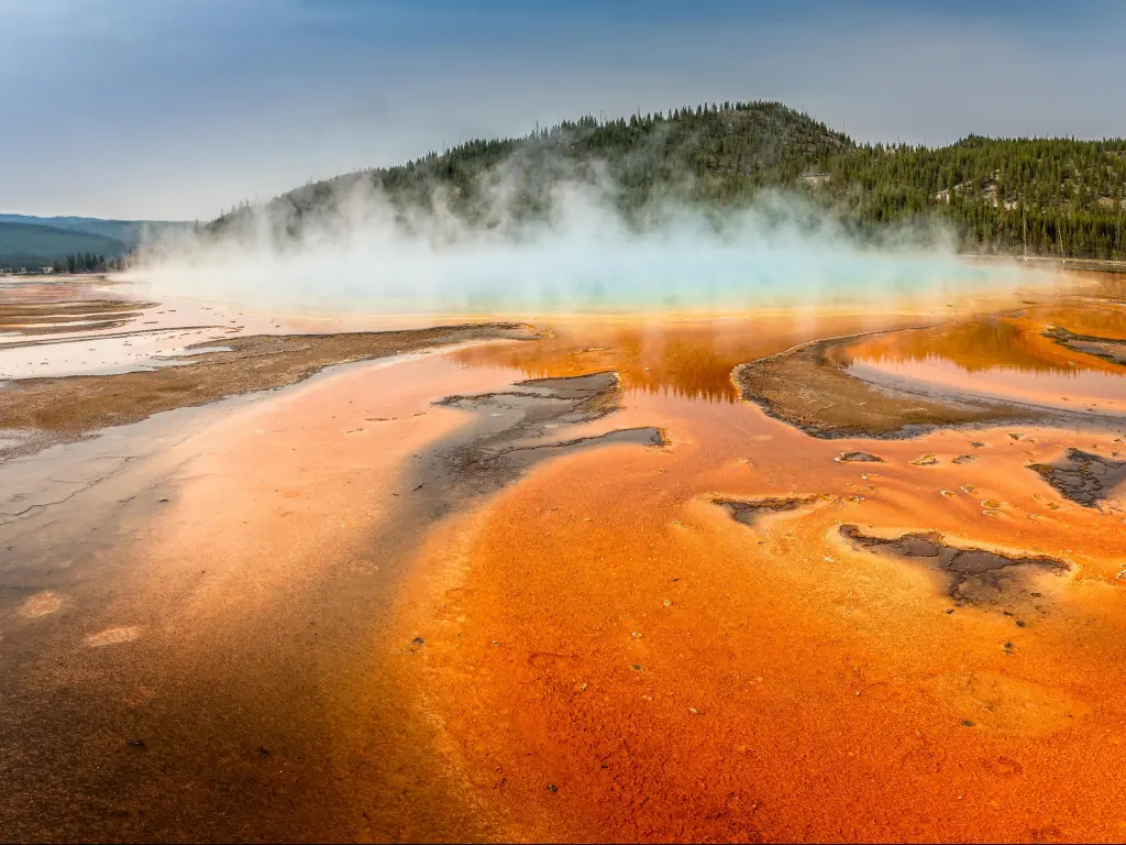 Deep orange swirls around Grand Prismatic Spring, with steam rising from the hot spring and a small tree-covered hill behind