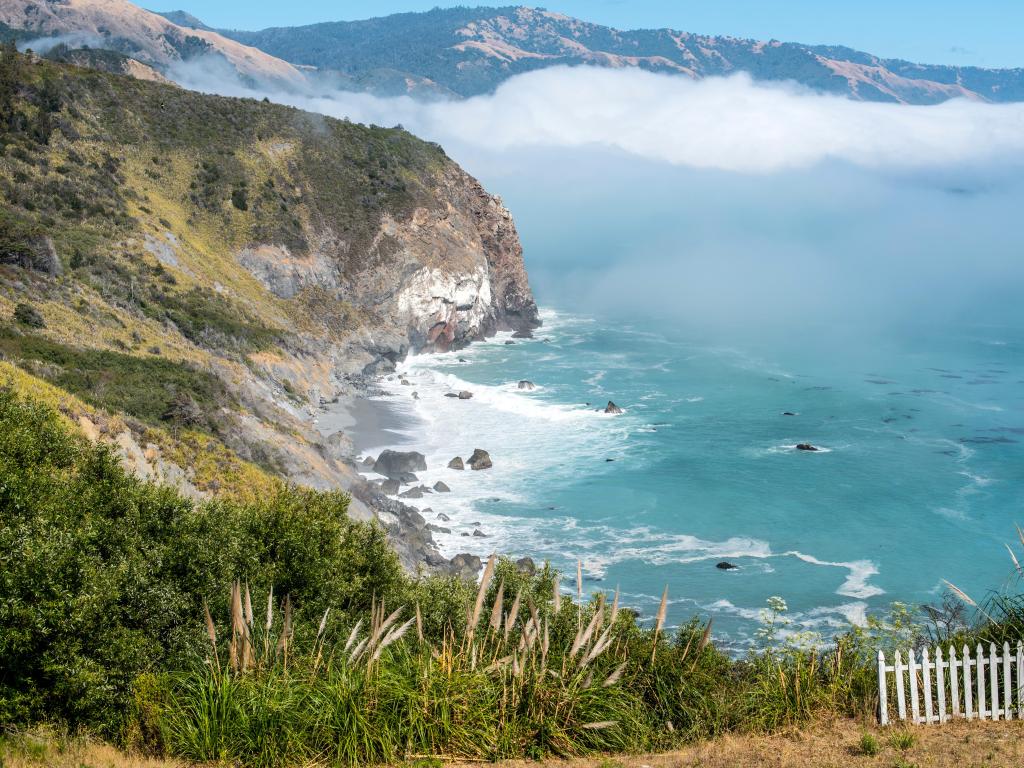 Sea elephants at San Luis Obispo, California, USA with a panoramic view.