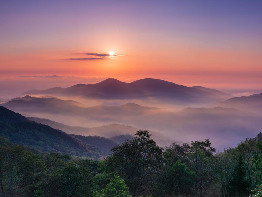 View across forested mountain landscape with pink and blue early morning light