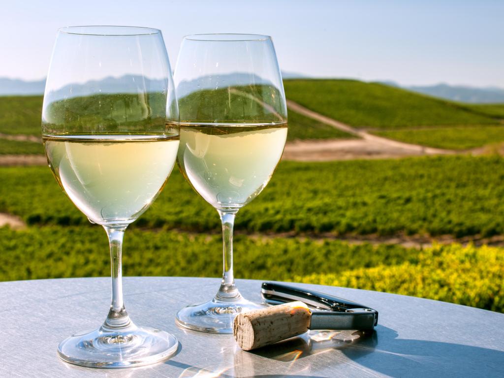 Two glasses of white vine on a table overlooking Napa Valley