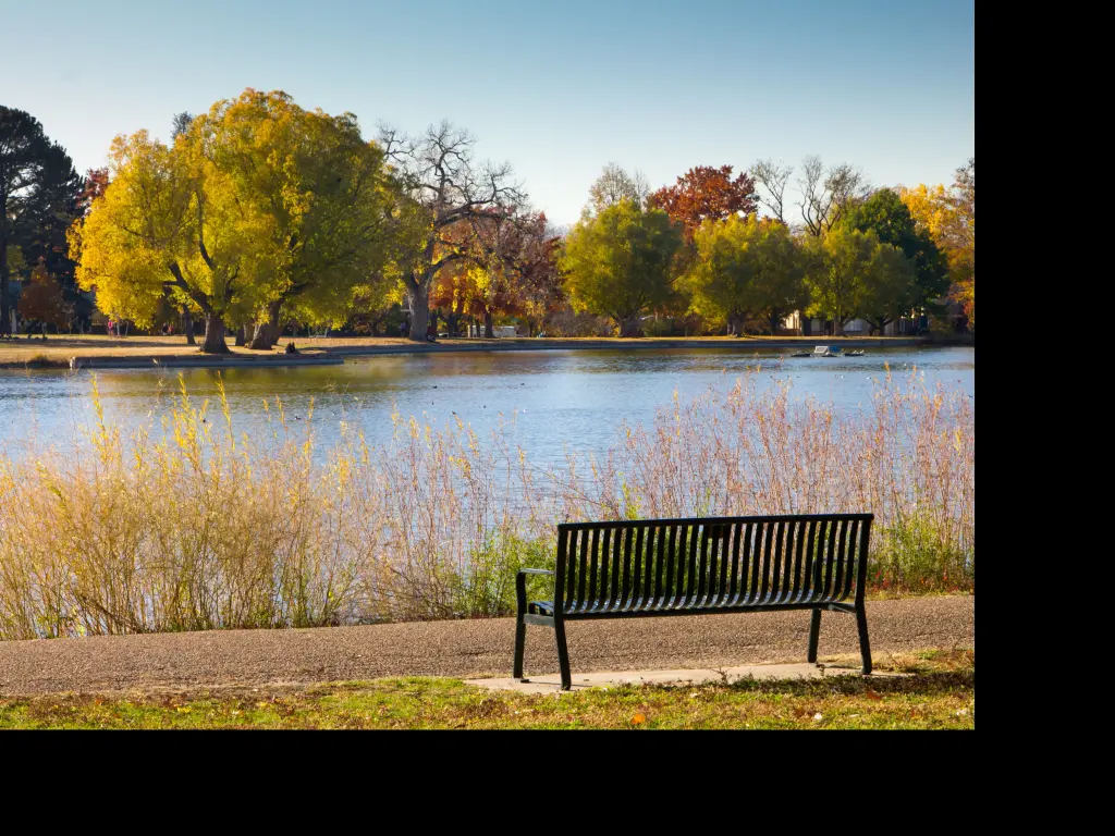 A bench and colorful trees in the fall in Washington Park in Denver, Colorado