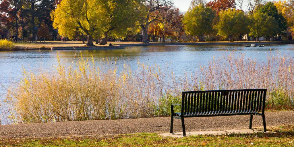 A bench and colorful trees in the fall in Washington Park in Denver, Colorado