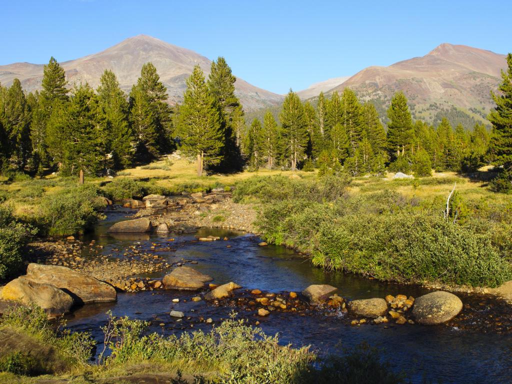 Yosemite National Park, California, USA with the scenery around Tioga Pass, mountains in the distance, a river in the foreground and trees around on a sunny day.