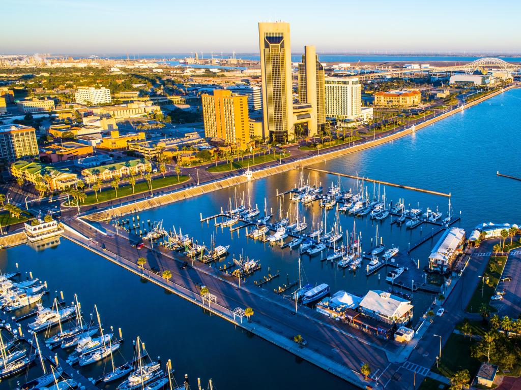 Morning view of the marina on a sunny day, photo taken using a drone