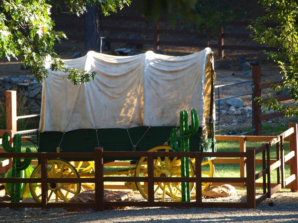 Covered Wagon in an Apple Hill Farm, inside a fence, Shaded by Trees, Placerville, California USA