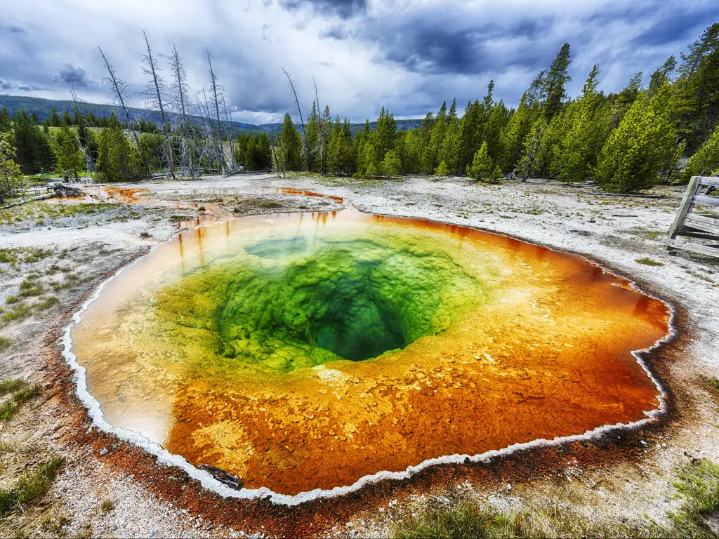 Morning Glory pool from above. Yellowstone National Park, Wyoming, USA. A deep hot spring, colored by the unique bacteria that thrive in Yellowstone.