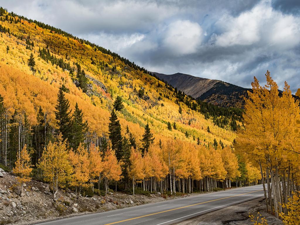 Route 50 which ascends to Monarch Pass with autumn colors