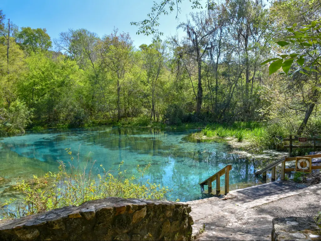 Clear blue pool with tree-lined river bank