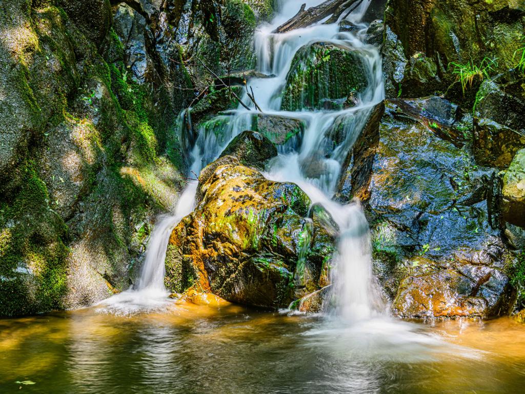 Close-up view of Rose River Falls in Shenandoah National Park, with water cascading down the rocks, amid the trees