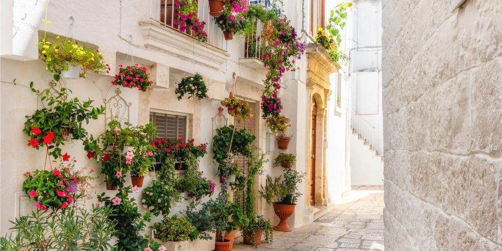 An alleyway in Cisternino full of colourful flowers 