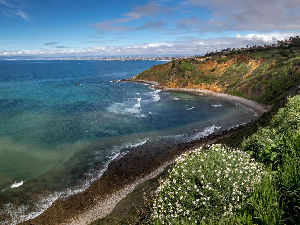 Palos Verdes Nature Preserve, California, USA with a view of the Southern California coast and tall grass covered cliffs of Bluff Cove with blue and turquoise water.
