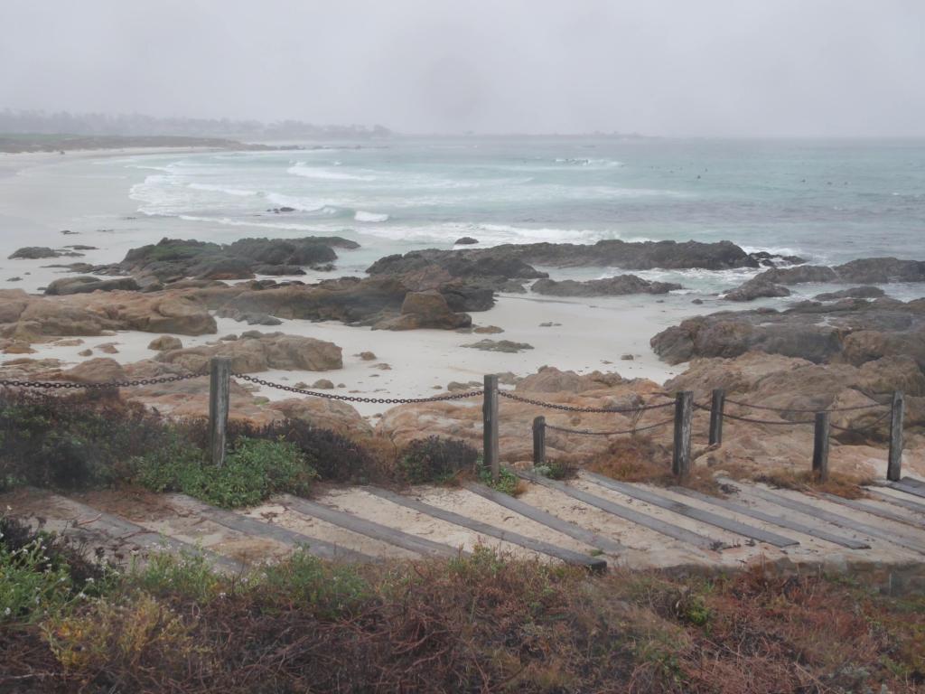Ocean beach sandy dunes, Monterey nature, California misty coast, USA. Foggy rainy autumn or winter weather, grey cloudy sky