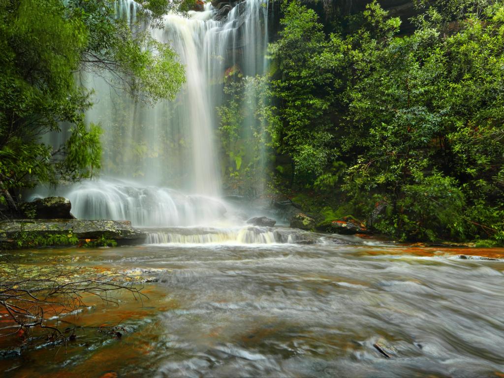 Waterfall descending through thick green vegetation into a calm, wide stream