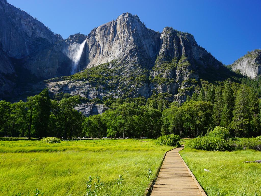 Lower Yosemite Fall in the background and wooden boardwalk in the green meadow on a sunny day of summer,