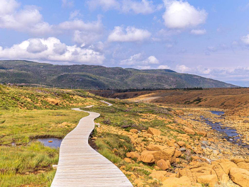 Boardwalk on Tablelands Trail, Gros Morne National Park on a cloud day