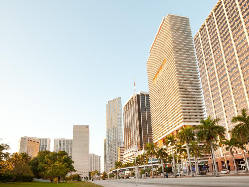 Biscayne Boulevard in at downtown Miami in the early morning with tall buildings and palm trees lining the road