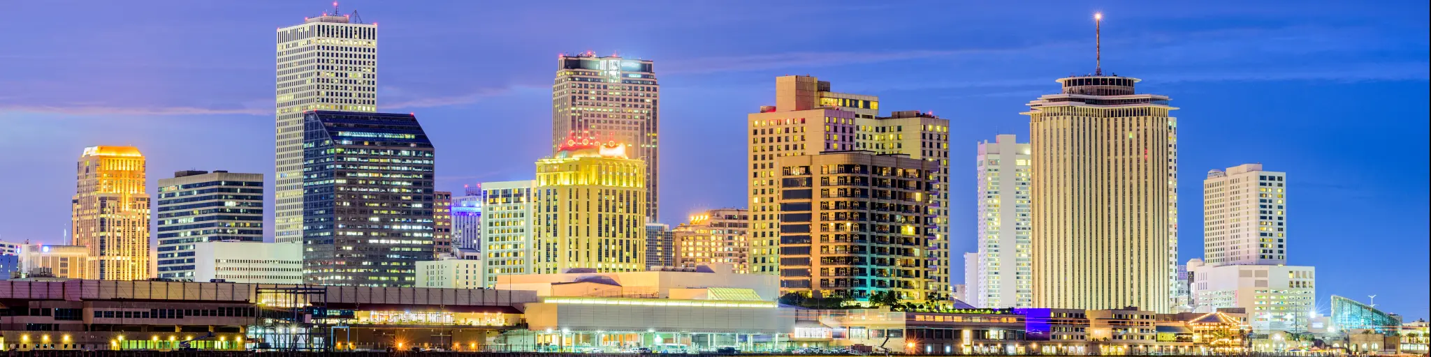 A view of the New Orleans skyline