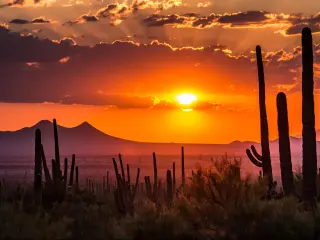 Silhouette of cactus with vibrant pink and red sunset and outline of mountains