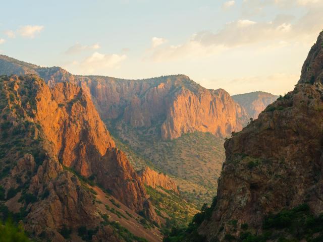 The Chisos Mountains bathed in a warm glow at sunrise at Big Bend National Park, with trees dotting the rugged landscape