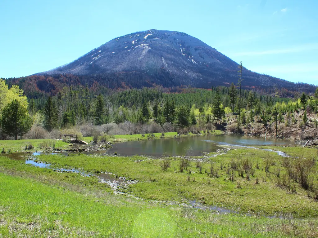 View of Baldy Mountain in the Bears Paw Mountains surrounded by lush green forests and waterway, against a clear, blue sky