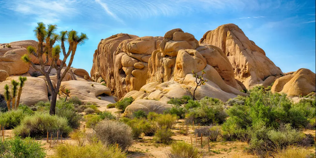 Phoenix to Phoenix Road Trip