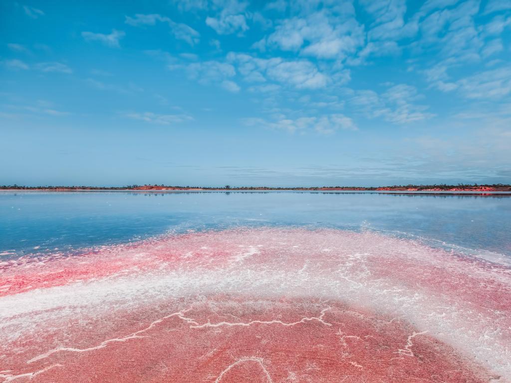 Murray Sunset National Park, Australia with a big salt pink lake in the foreground and blue water in the background with a horizon of land in the distance over a blue sky.