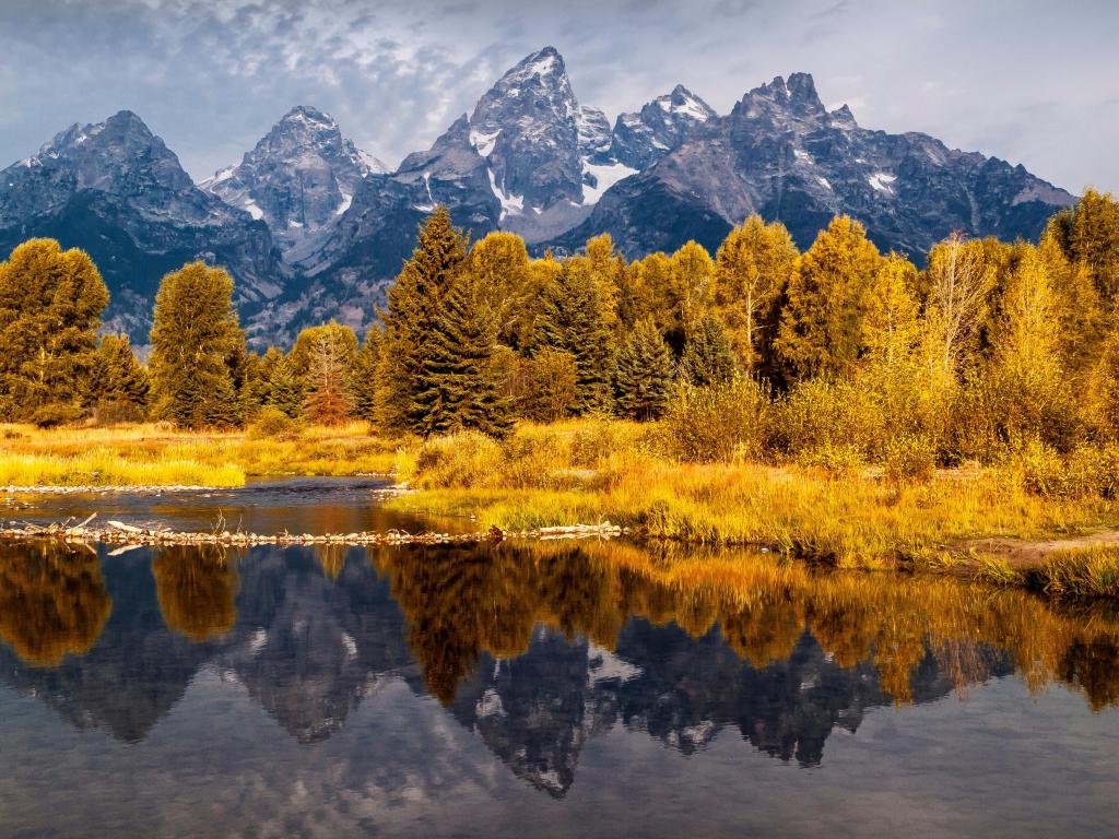 Fall view of the reflection of Grand Tetons Peaks and trees in the river at Schwabacher Landing